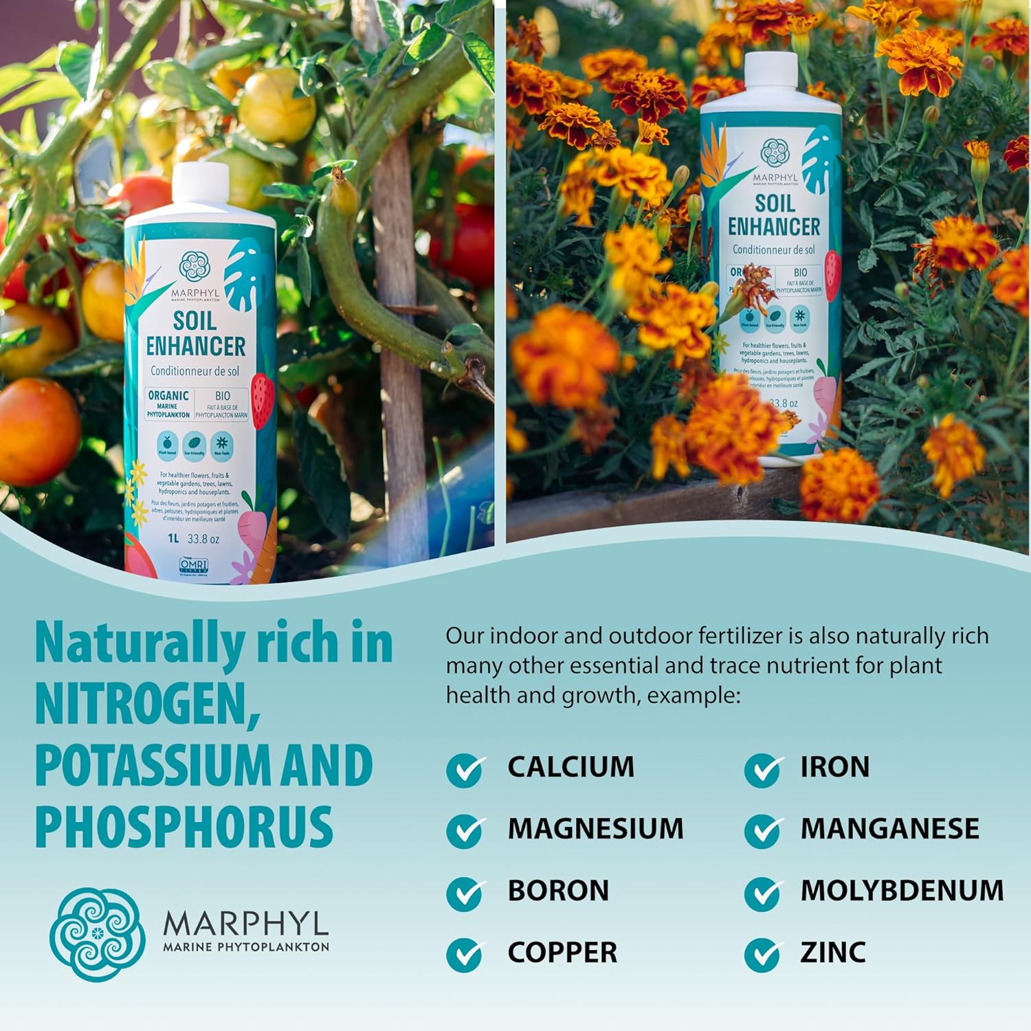 MARPHYL Plant Fertilizer Houseplants and Garden - Marine Phytoplankton Soil Improver and Hydroponic Fertilizer for Grasses, Bamboo, Succulents, & Vegetables - Organic Plant Liquid (Pack of 2)