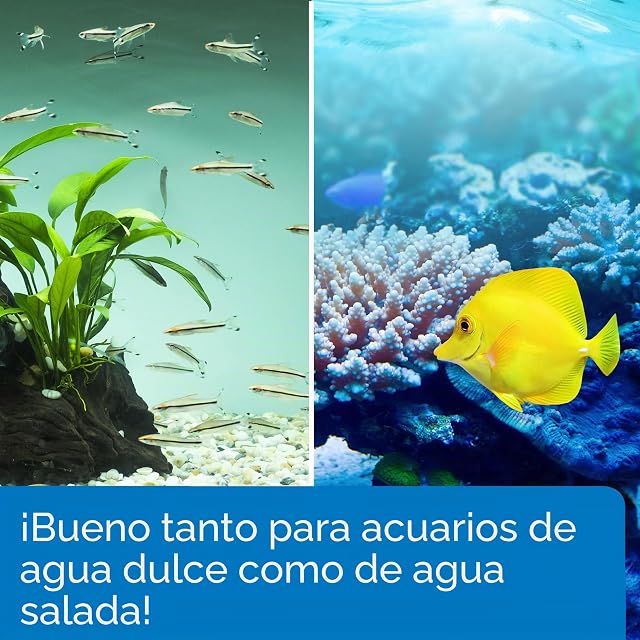 Foto 2 de 6 de Api Stress Zyme - Solución para la limpieza de acuarios de agua dulce y salada
