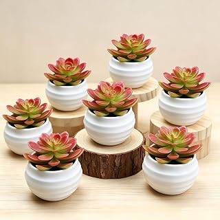 1Pcs Artificial Succulents Plants in Pots Fake Plants for Home Decor Red | Artificial Succulents Plants for Bedroom Aesthetic Living Room Office Shelf Bathroom Decor
