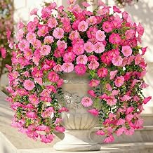 Ivydale 2 PCS Artificial Hanging Flowers Fake Plants Outdoor,Silk Morning Glory Faux Flowers with Eucalyptus Leaves,UV Resistant Realistic Hanging Plants for Home Garden Decor (Pink+Light Pink)