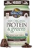 Raw Protein & Greens Powder, Chocolate