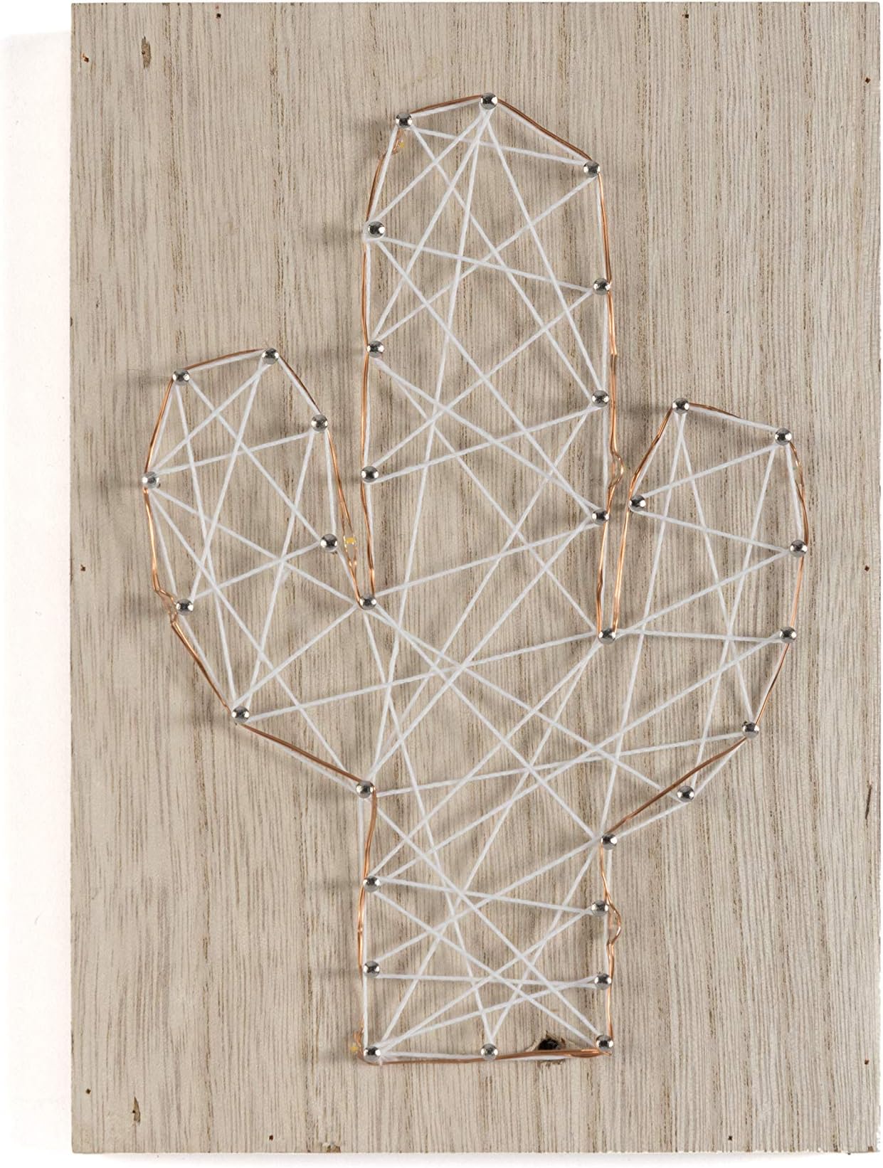 ShiraleahHome Ecor Cactus LED Wall D