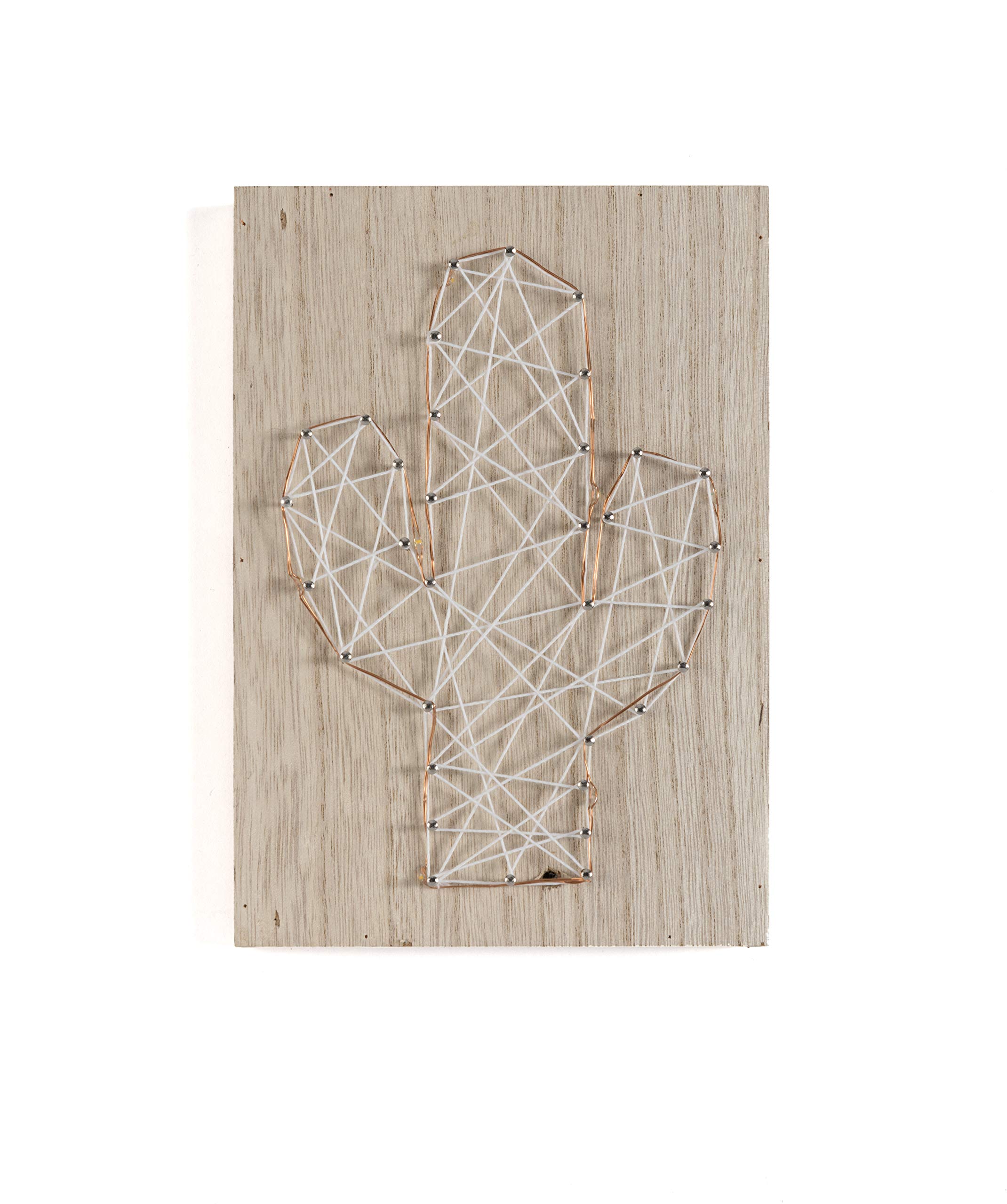 ShiraleahHome Ecor Cactus LED Wall D