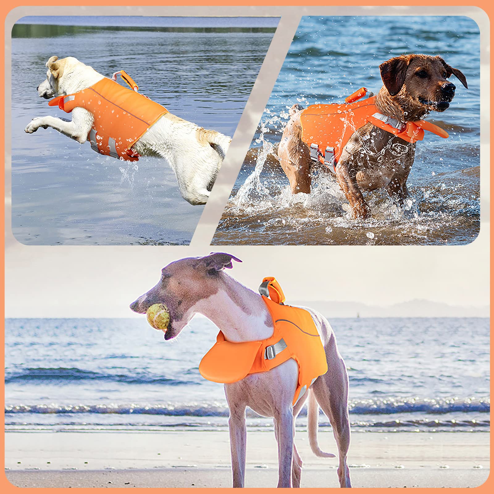 Hunde Schwimmweste Mit Leine - Reflektierende Rettungsweste Für Welpen & Hunde | Wassersicherheit