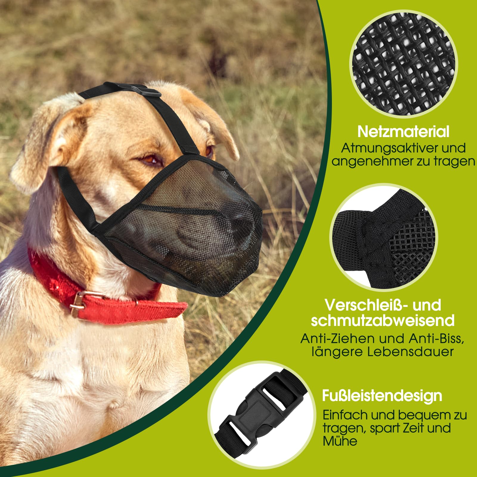 Morsa per Cani Medi, Traspirante, Regolabile con Design Mesh – Protezione da Cibo Tossico, per Passeggiate, Addestramento, Veterinario (L)