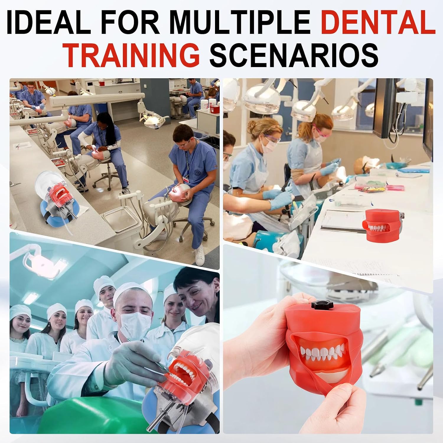4E 4E'S USA Dental Manikin Simulator Phantom Head (28 Teeth)：Dental Mannequin Head with Detachable Teeth, 180-Degree Rotatable, Height Adjustable, Bandage Installation