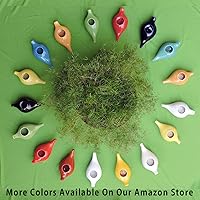 Vista 7 de HealthGoodsIn Neti Pot de cerámica, apto para lavavajillas, hecho a mano con 2 boquillas de silicona y sal para sinusitis - 7.6 fl oz de capacidad