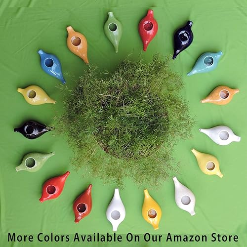 Miniatura 7 de HealthGoodsIn Neti Pot de cerámica, apto para lavavajillas, hecho a mano con 2 boquillas de silicona y sal para sinusitis - 7.6 fl oz de capacidad