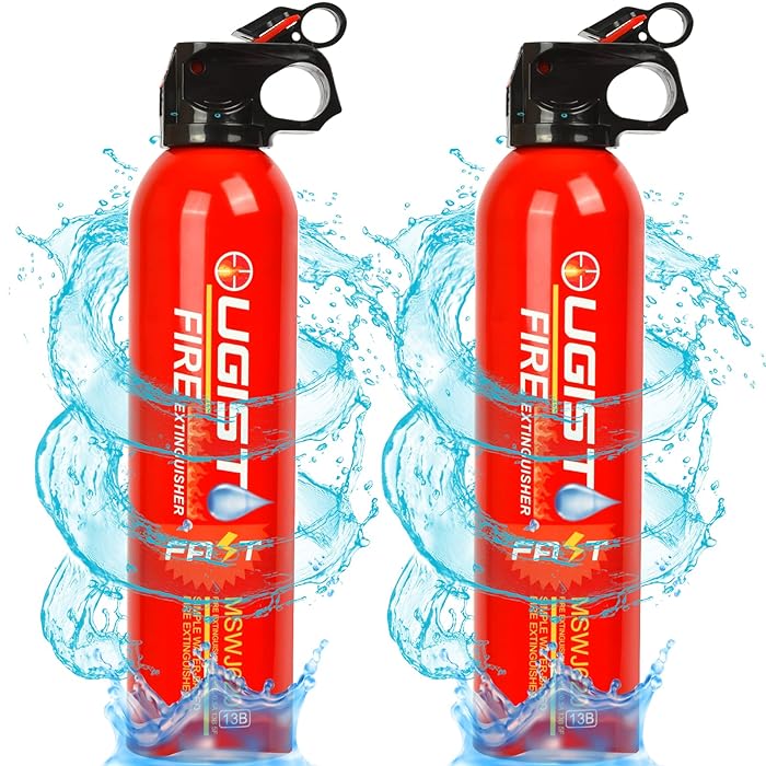 Buy Fire Extinguisher 620 ml 2 Count,Easy to Carry,Can Prevent Re