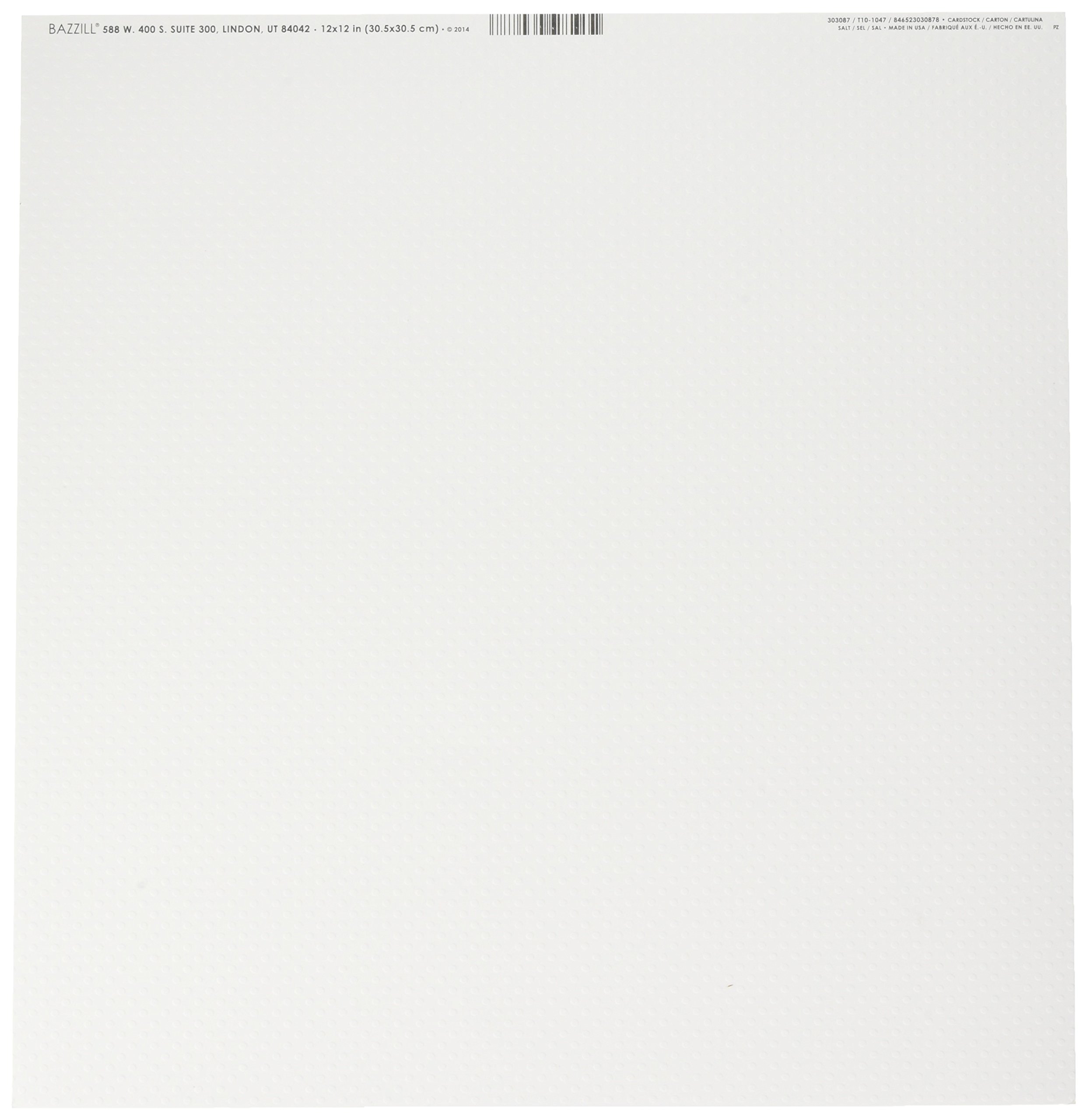 BazzillBasics Paper 12x12 Dotted Swiss Salt Card Stock(25 sheets)
