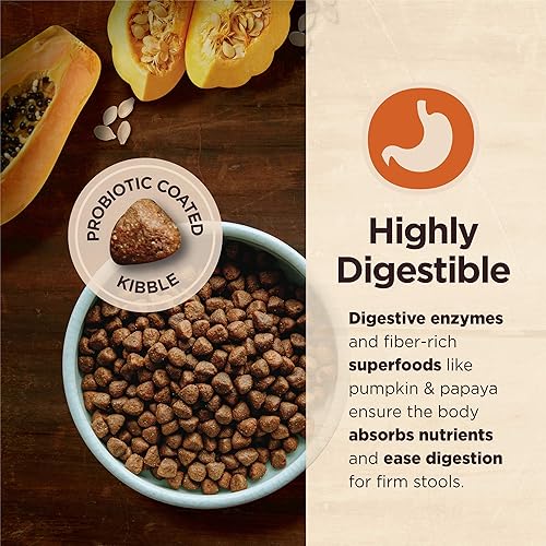 Miniatura 3 de Wellness CORE Digestive Health Alimento seco para perros con granos saludables, pollo y arroz integral, bolsa de 24 libras + CORE Bowl Boosters