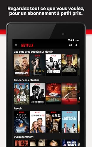 Netflix – vue 2