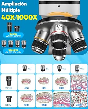 大人と子供のための複合双眼顕微鏡:40x-1000x拡大顕微鏡ledイルミネーション準備スライド収納ケース-8-12歳の子供のための研究室学校家庭教育に対応