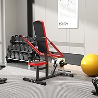 Vista 8 de Upgraded 15° Backrest Seated Dip Machine Tricep Bicep, Tricep Bicep Press Down Machine, Triceps Bicep curl Workouts with Cable Bar, Plate Loaded Dip