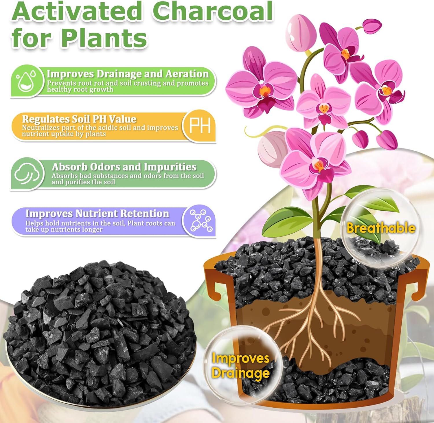 Legigo 10 LB Organic Leca Clay Pebbles & 2 QT Horticultural Charcoal, Natural Soil Amendment for Drainage, Aeration, and Healthy Indoor Plants, Orchids, Hydroponics & Terrariums