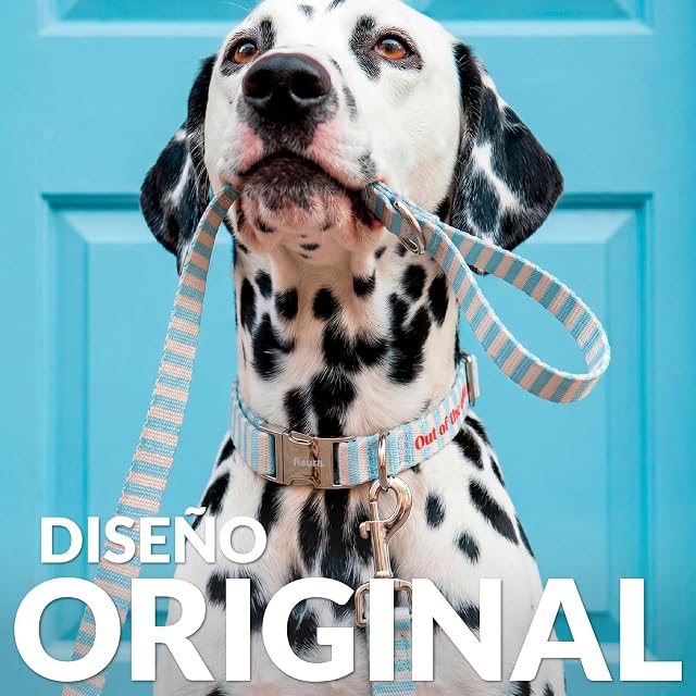 Foto 2 de 7 de Fisura - Conjunto de Collar y Correa para Perros pequeños y medianos con Mensaje “out of The Office”. Juego…