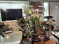 Review Image by Sharon S.