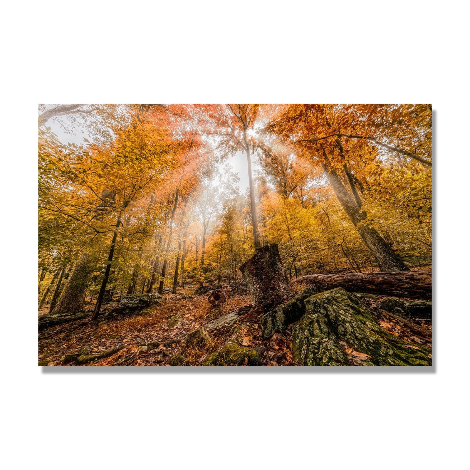 Impression sur toile paysage nature haut de gamme A-04 - 7