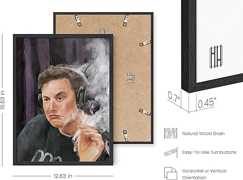 Miniatura 3 de HAUS AND HUES Elon Musk - Arte de pared enmarcado, pósteres de meme, pósteres trippy para chicos, decoración divertida y fresca para habitación de