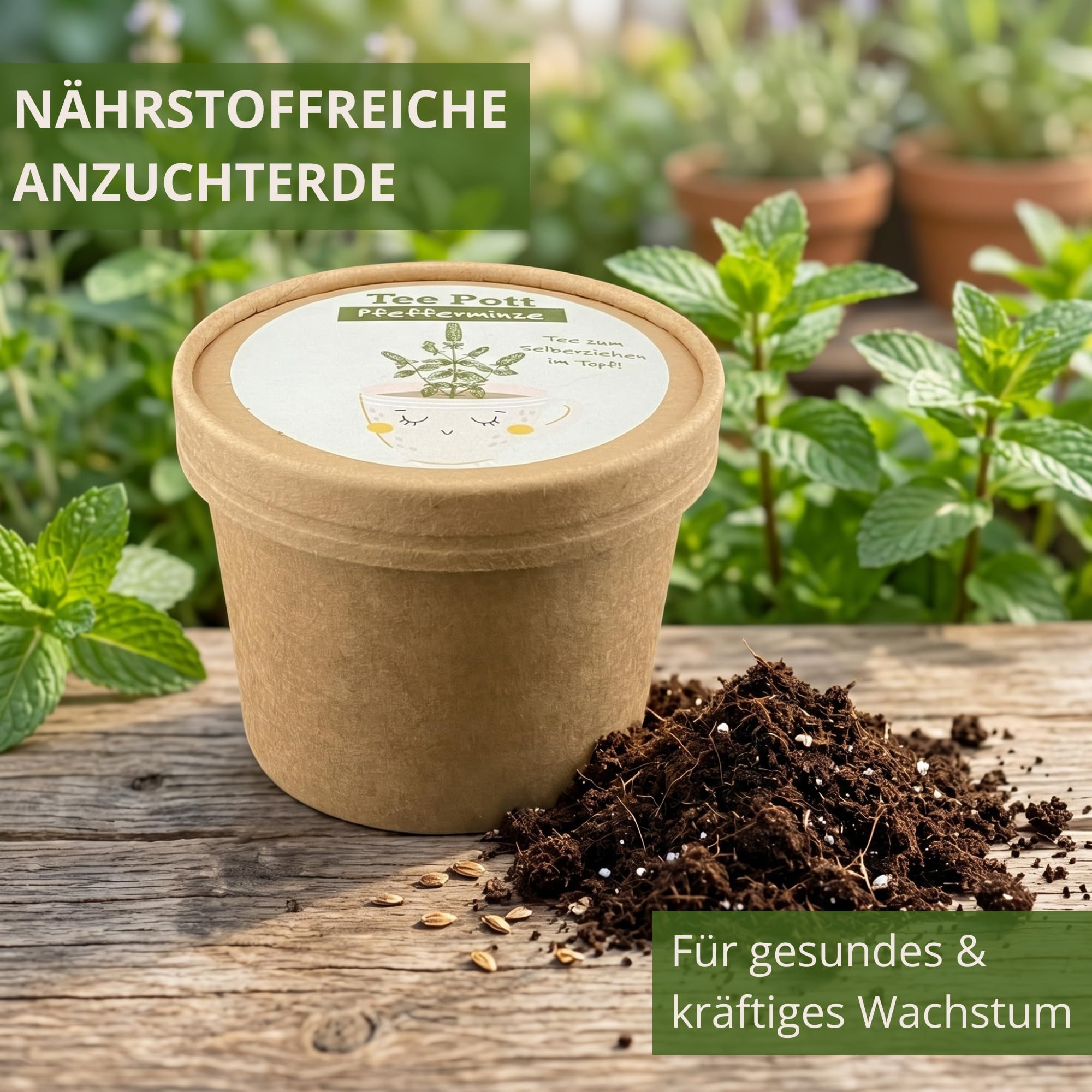 Kit de culture de menthe poivrée avec graines et terre pour rebord de fenêtre