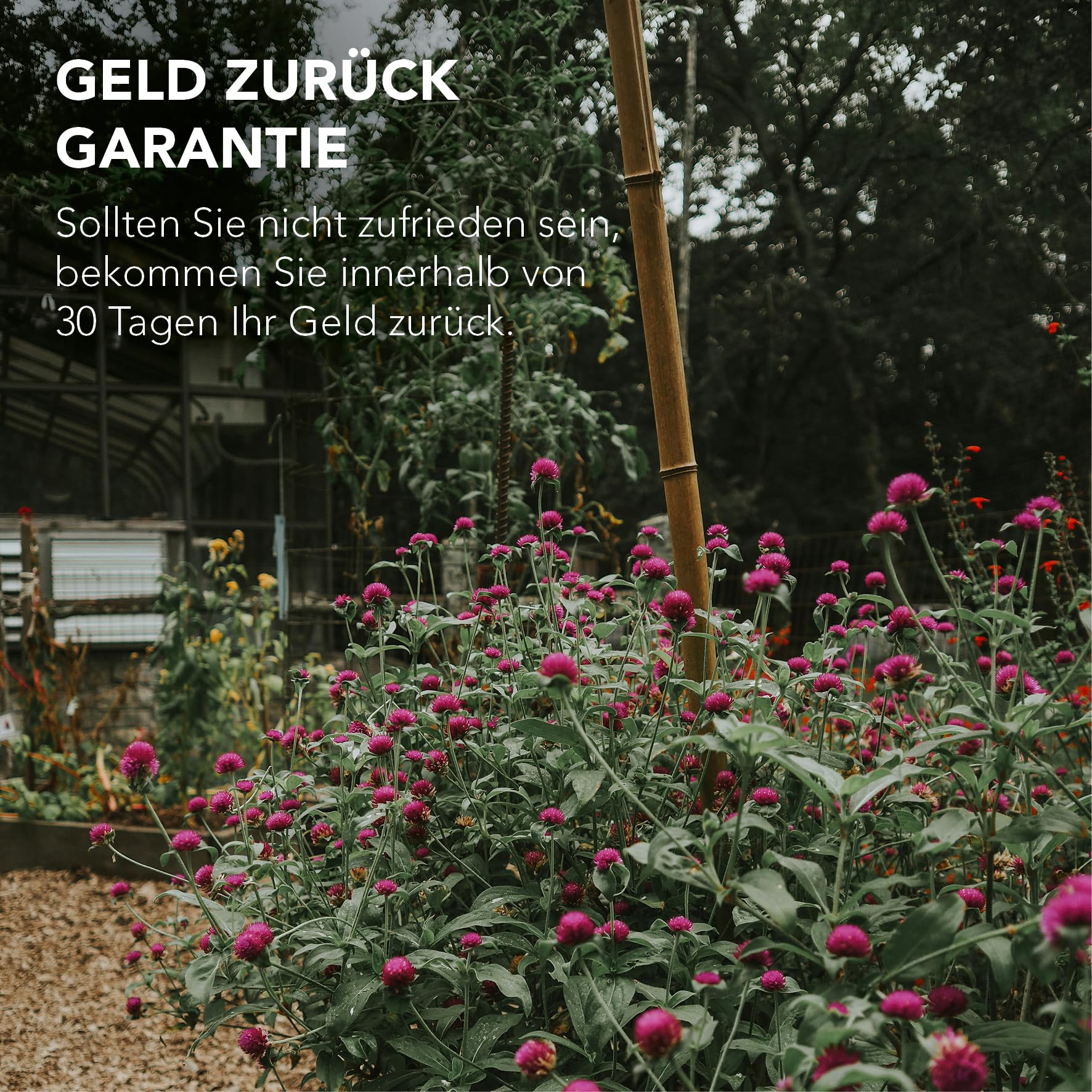 XDREAM Garden Auflage für Gartenliegen | Sonnenliegenauflage | hochwertige Gartenmatratze für Liegen, Sonnenliegen, Balkon, Outdoor | Liegenauflage anthrazit ohne Gartenliege | 60 x 200 cm