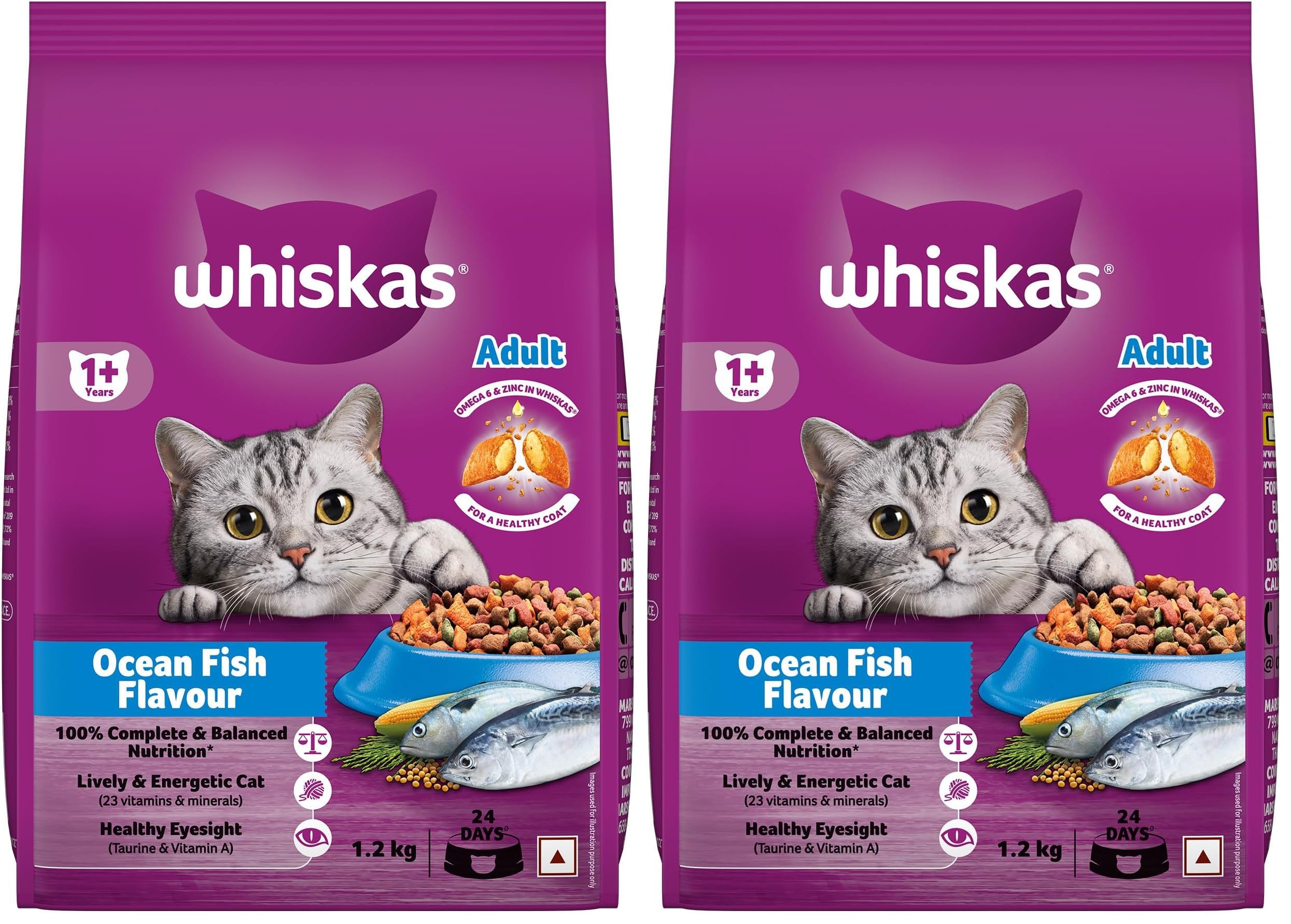 Whiskas Adult (1+ Years) Dry Cat Food, Ocean Fish Flavour, 1.2 kg, Contains 41 Essential Nutrients, Complete & Balanced Nutrition for Adult Cats (Pack of 2)-image-27