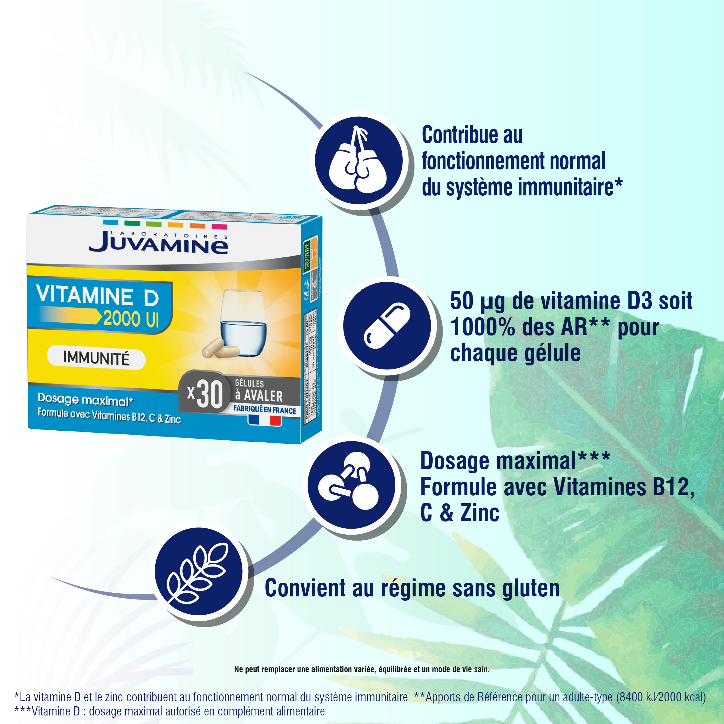 Juvamine Immunité Vitamine D Végétale - Cure 30 Jours En Gélules, Neuf Fabriqué En France
