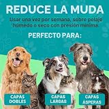 Ver la foto 4