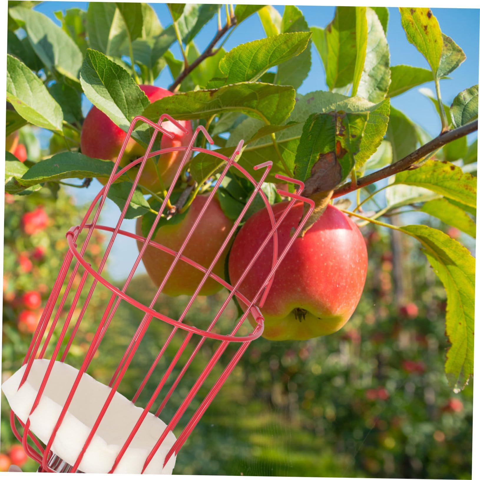 1set Raccoglitore Frutta Telescopico Attrezzo Da Giardino Acciaio Inossidabile Strumento Per Raccolta Frutta Senza Scala Sezioni Per Orticoltura e Rosso Argento