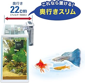 Amazon.co.jp: Gex GEX Slim Aqua Set 600 Slim, Width 23.6 x