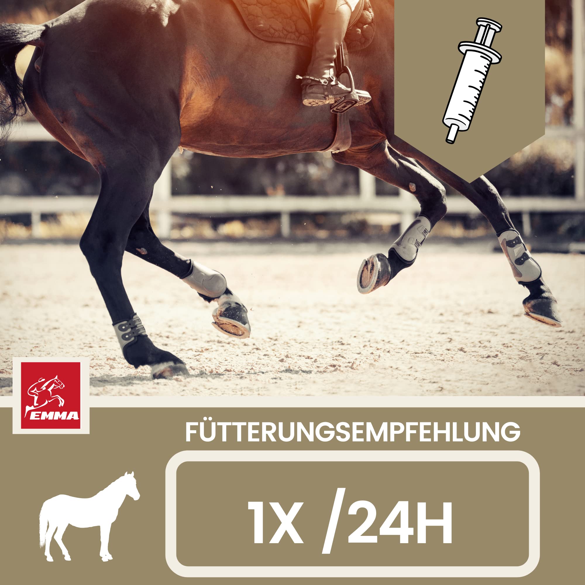 Elettroliti Cavallo - Pasta vitaminica per cavalli I Complesso vitaminico b Cavallo I Elettroliti Sodio Potassio Magnesio I Alimenti minerali Cavalli dopo la diarrea Vomito Acqua Sali minerali 3p.