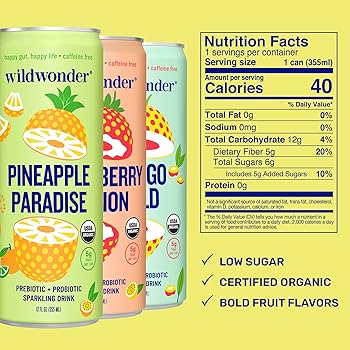 Amazon.com : wildwonder Sparkling Probiotic Drink 12pk, For Gut
