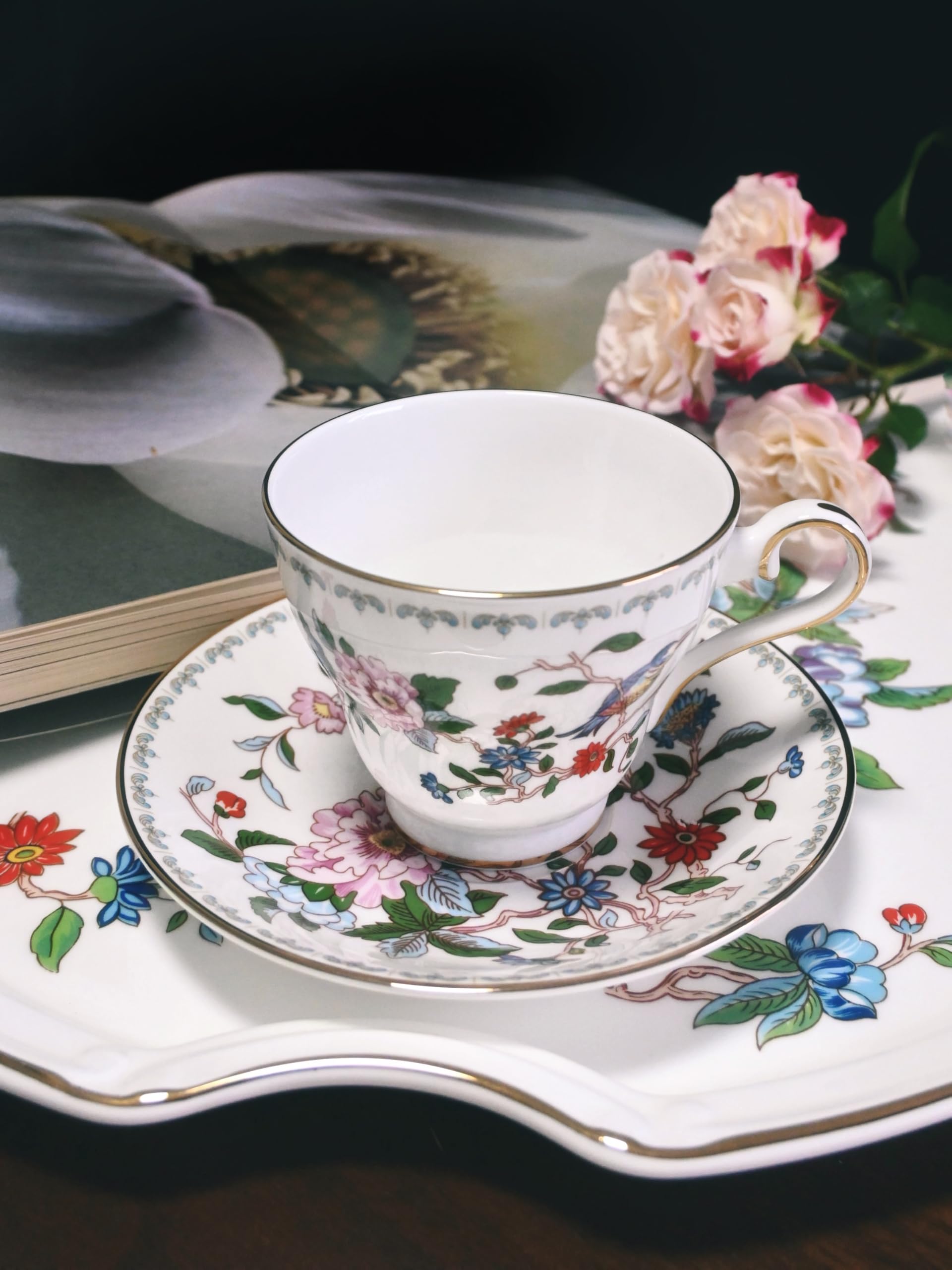 Amazon.com | Aynsley Fine Bone China Pembroke Stratford Teacup