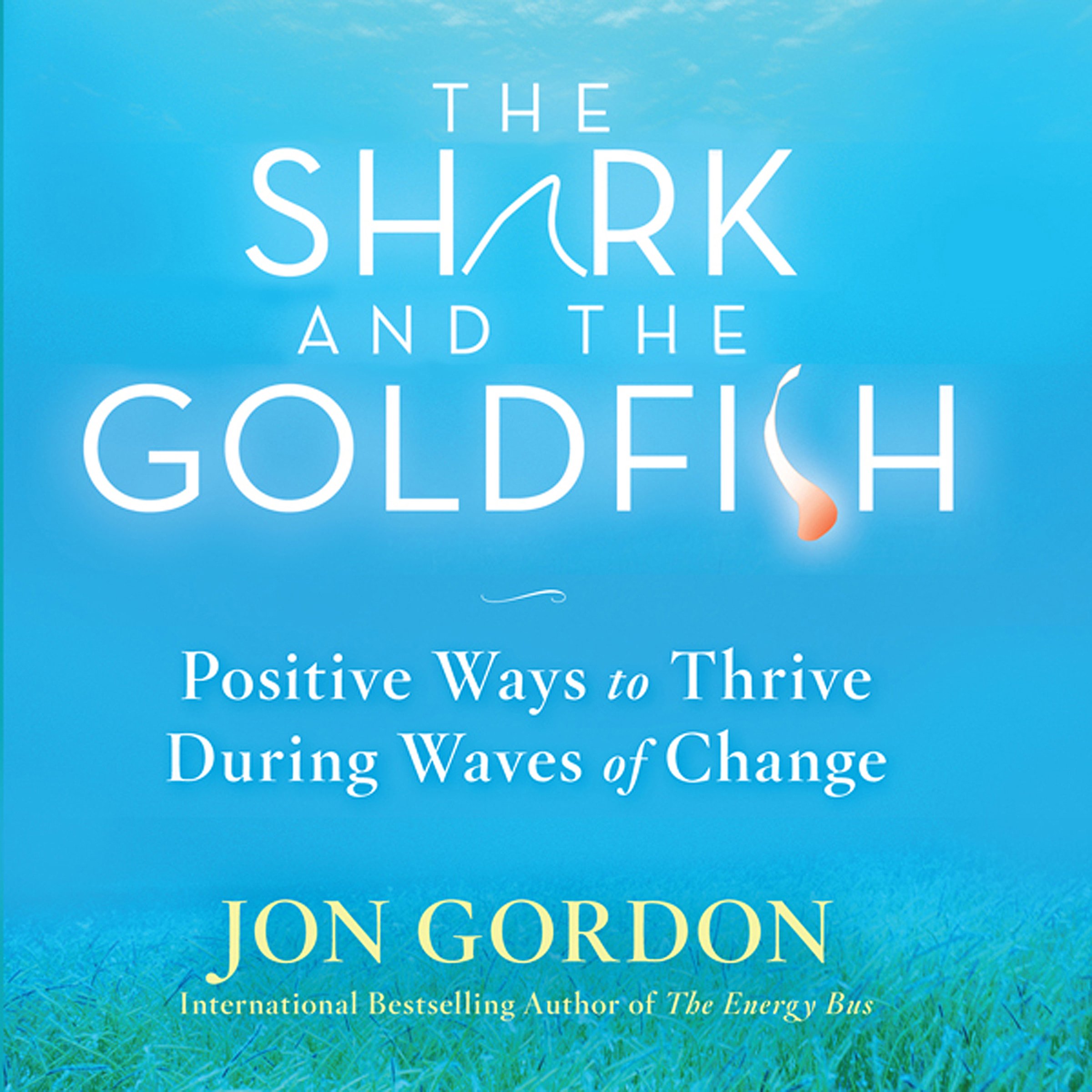 Cover art for The Shark and the Goldfish