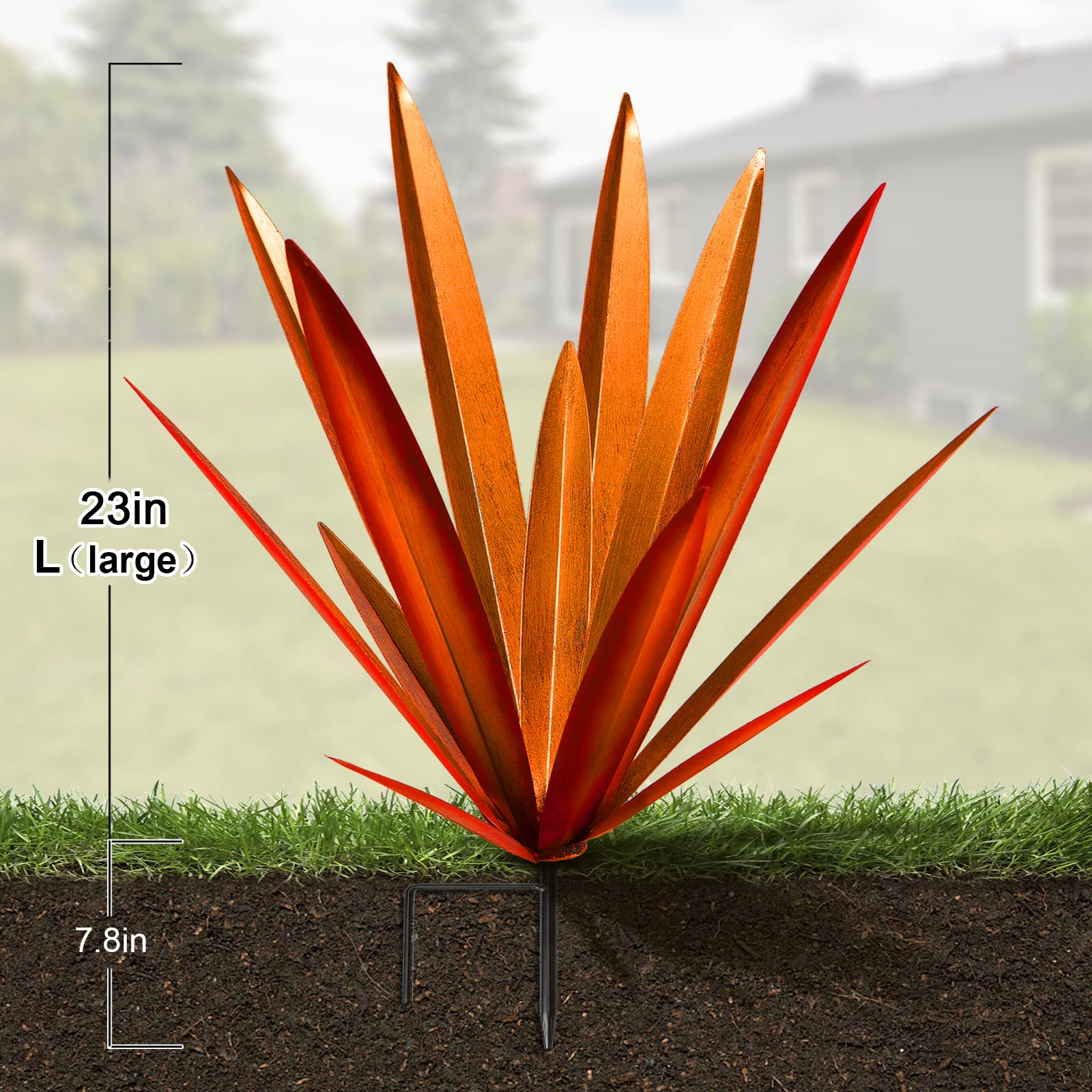 趣味・スポーツ・実用 Agaves: Living Sculptures for Landscapes Agaves: Living Sculptures for Landscapes and Containers
