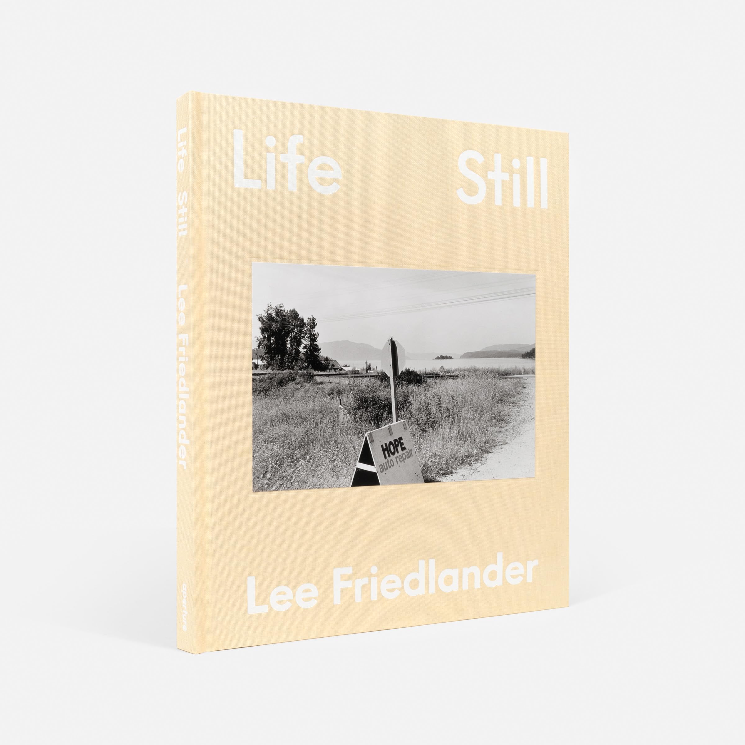 Lee Friedlander Life Still