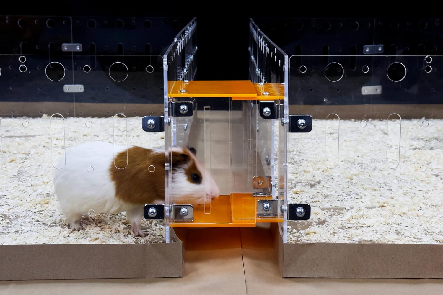 GuineaLoft™ Cage Connector (Version 2) – Connects Guinea Pig Cages Through Corridors, Easy to Insert, Easy to Remove, Can Be Closed, Adds Space and Structures