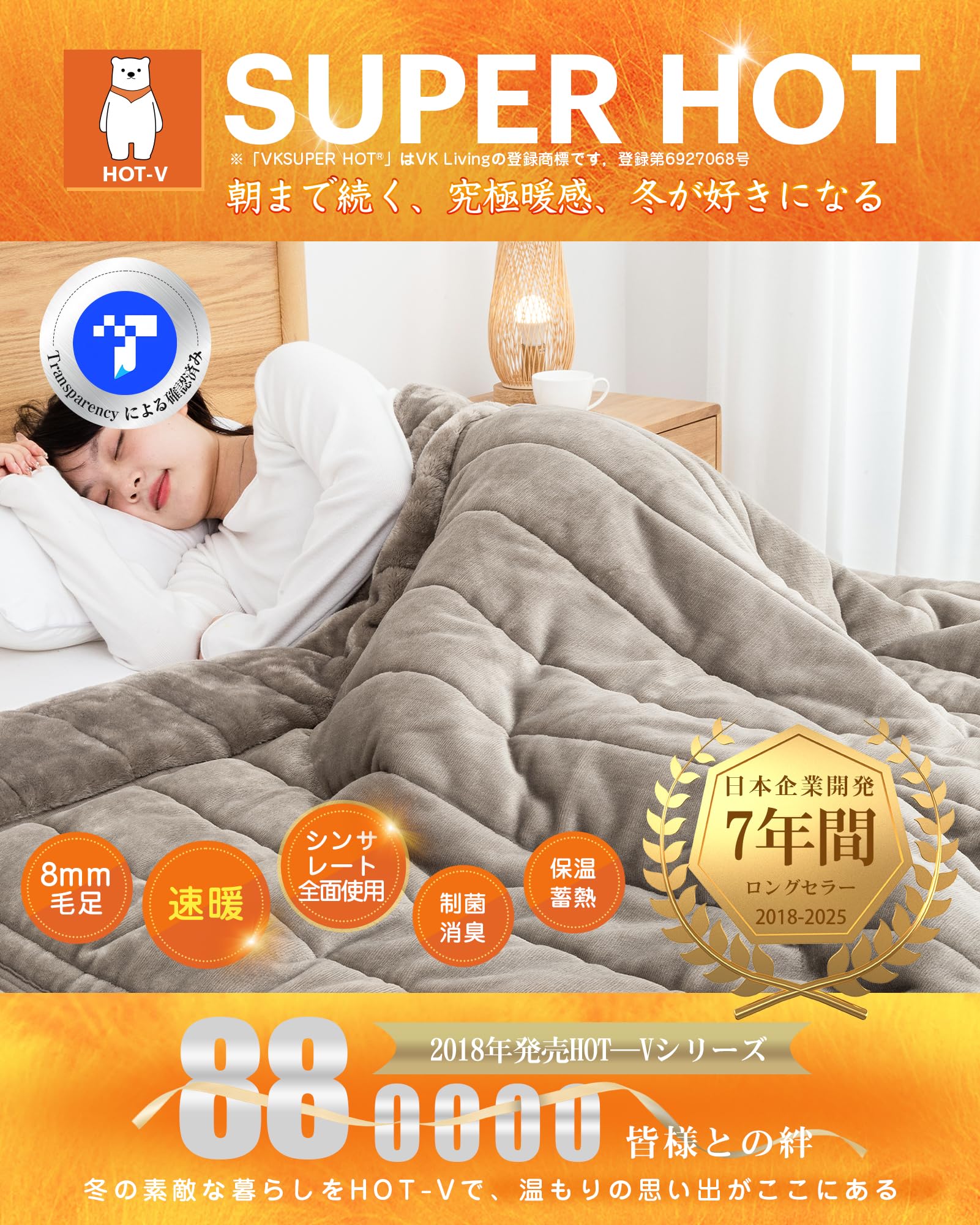 VK Living シンサレート毛布 厚手 シングル 冬用 フランネル 2枚合わせ