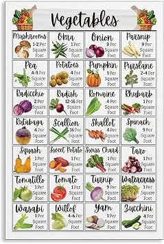 Prinajssiad Vegetables Spacing Guide Canvas Wall Art, Seeds Square Foot Gardening Chart Poster, Garden Plant Planning Log for Gardeners, Beginners Plant Enthusiasts Print Gift 12x16in Unframed