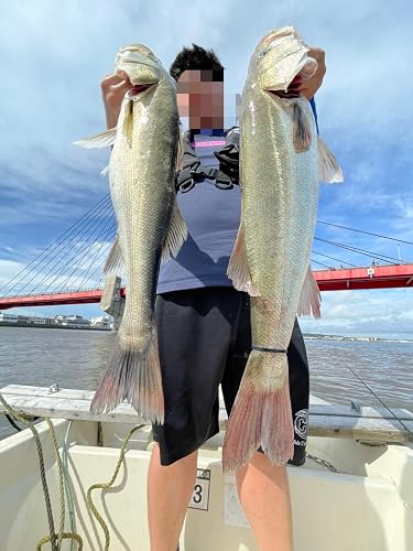 Amazon.co.jp: AbuGarcia (アブガルシア) オーシャンフィールド ボート