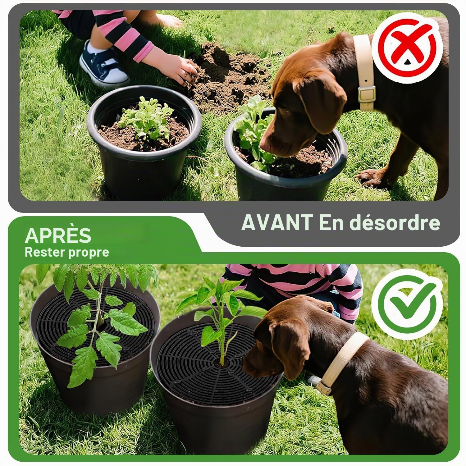 Grille Protection Plante 2pcs Protection Plante Chat 52cm Pot de Fleurs Grille Environnement Protections Plantes Interieur Chat Non Toxique Pour Protéger les Enfants et les Animaux Domestiques