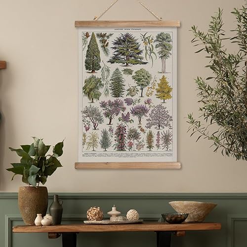Miniatura 7 de MIDEFINCH Juego de arte de pared botánico vintage, juego de 2 ilustraciones retro de árbol y plantas, pósteres colgantes con marco de madera para