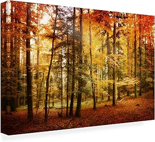 Brilliant Fall Color Artwork by Philippe Sainte-Laudy, 30 by 47-Inch Canvas Wall Art
