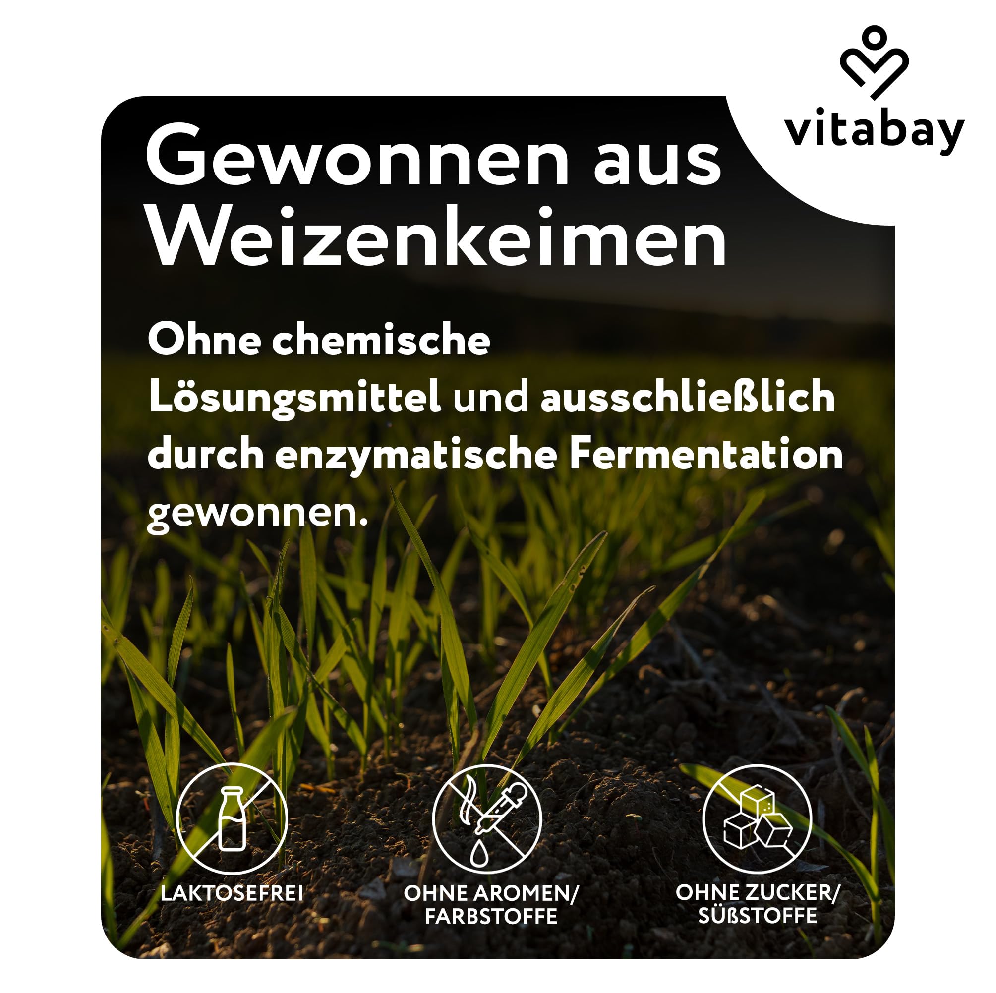Vitabay Spermidin 6 mg Hochdosiert – 120 vegane Kapseln mit fermentiertem Weizenkeimextrakt – Natürlich hergestellt - Laborgeprüft in Deutschland & ohne Zusatzstoffe – Vorrat für 4 Monate