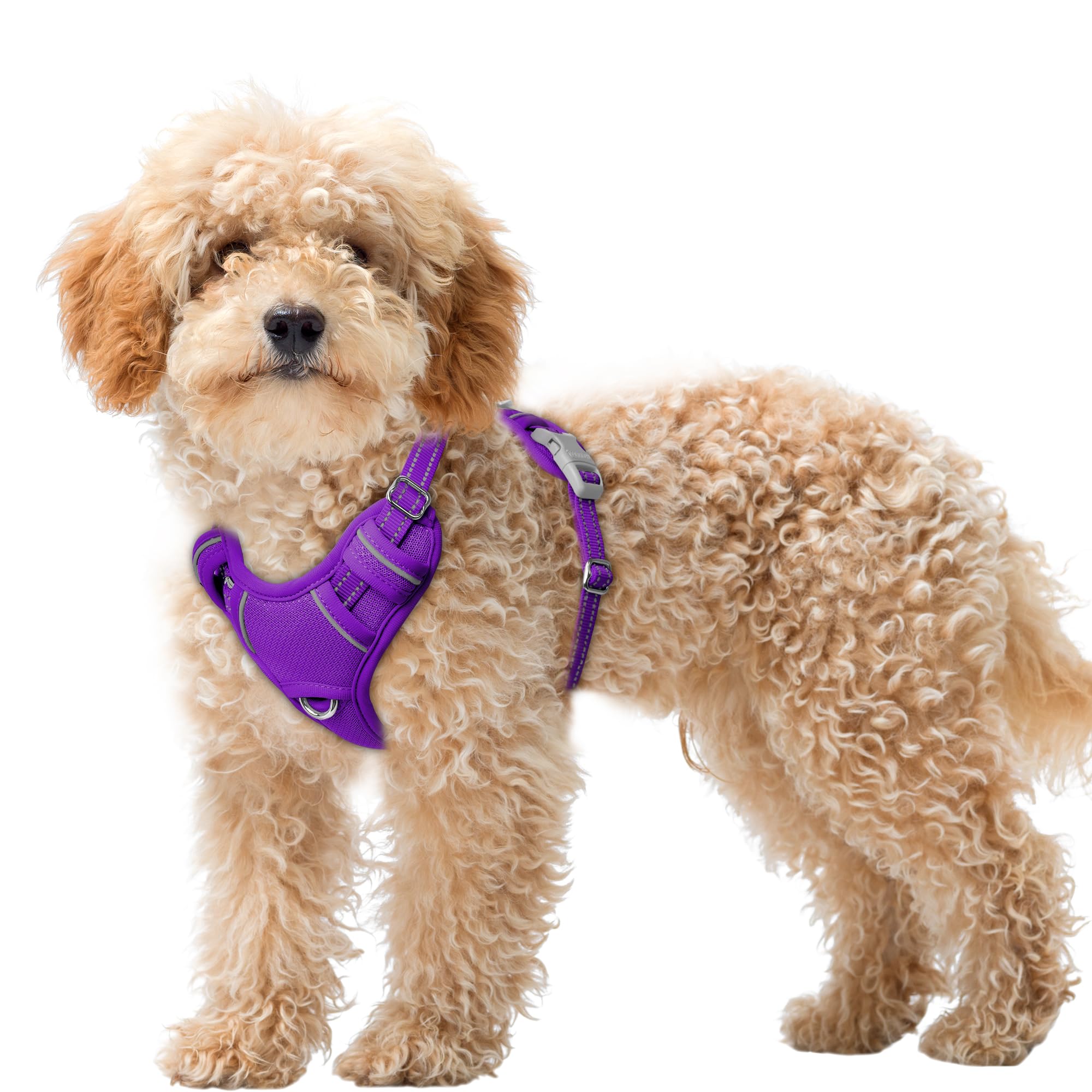 BARKBAY No Pull Dog Harness Large Reflective Dog Harness with Front Clip and Easy Control Handle for Walking Training Running with ID tag Pocket(Purple,XS)