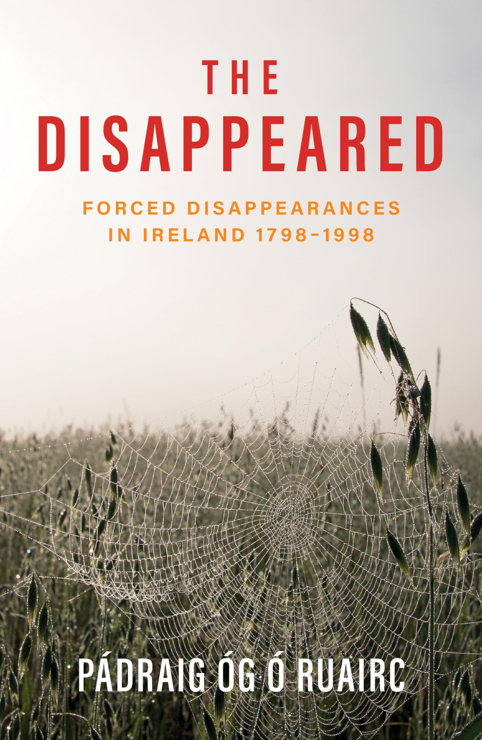 The Disappeared: Forced Disappearances in Ireland 1798 - 1998
