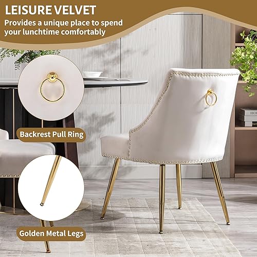 Miniatura 6 de KCC Juego de 2 sillas de comedor de terciopelo con respaldo con remaches, tira de anillo de extracción y terminación con patas doradas para cocina y