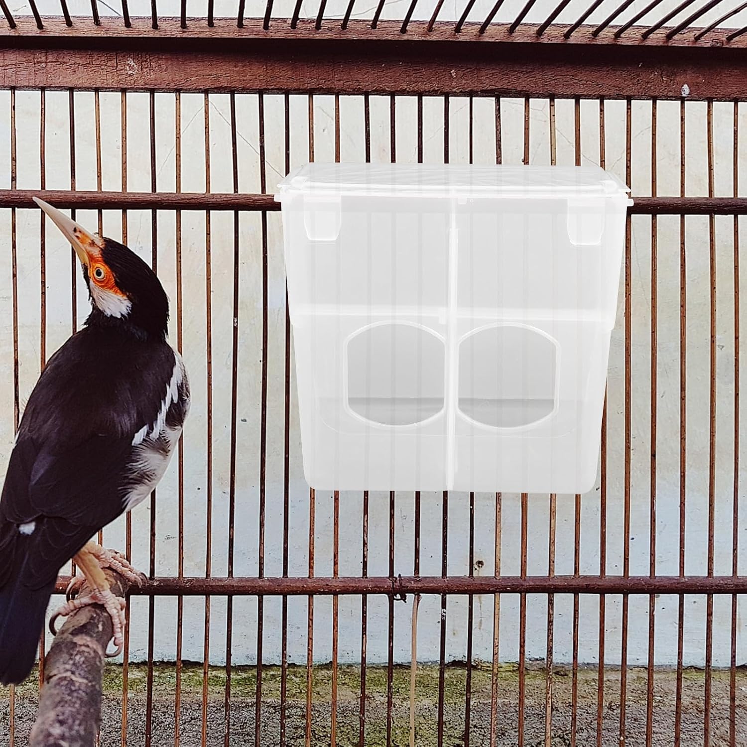 Anti Spill Feed Box for Bird and Pigeon Feeding, PP Hanging image 4