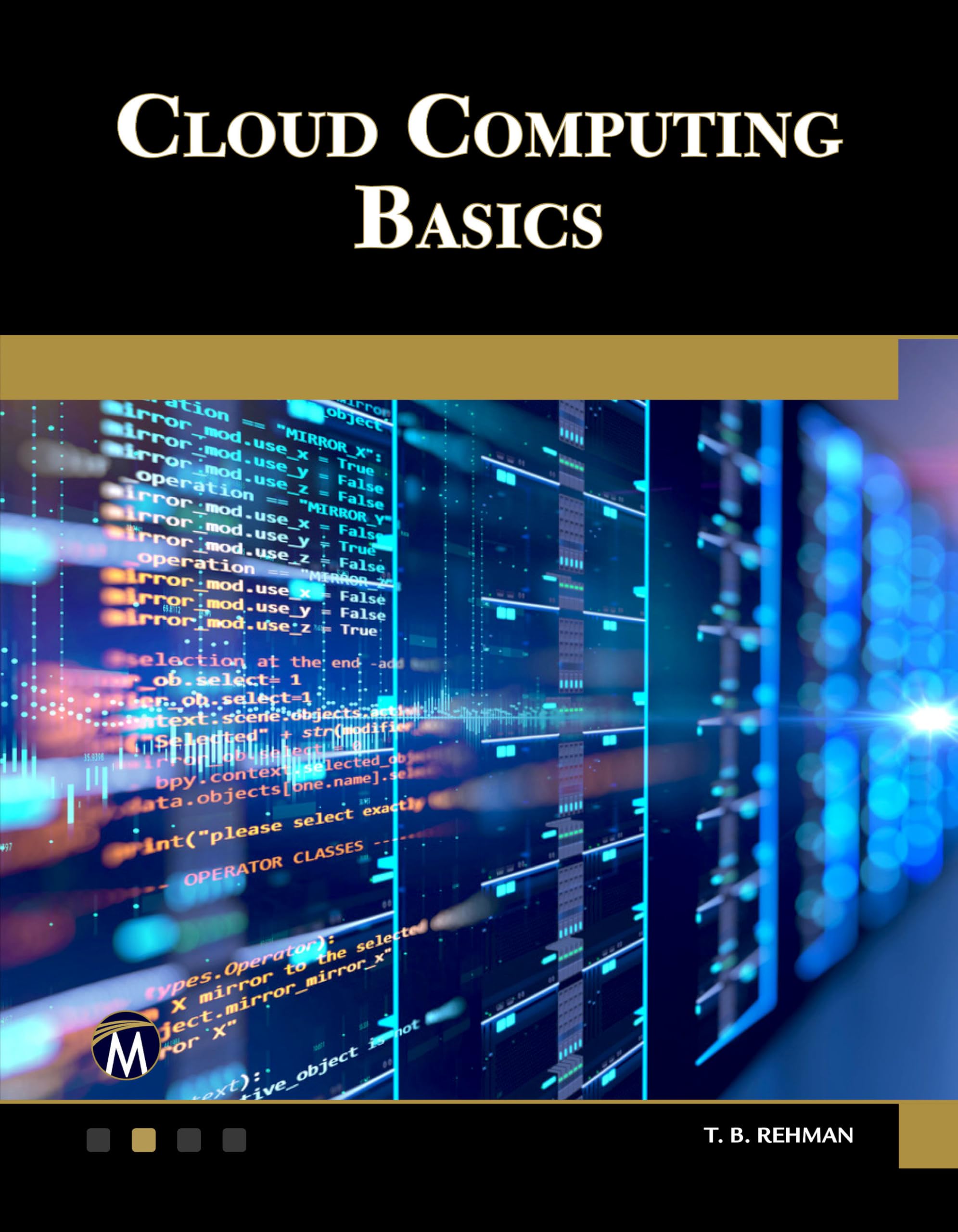 Buy Cloud Computing Basics — BookShops.in