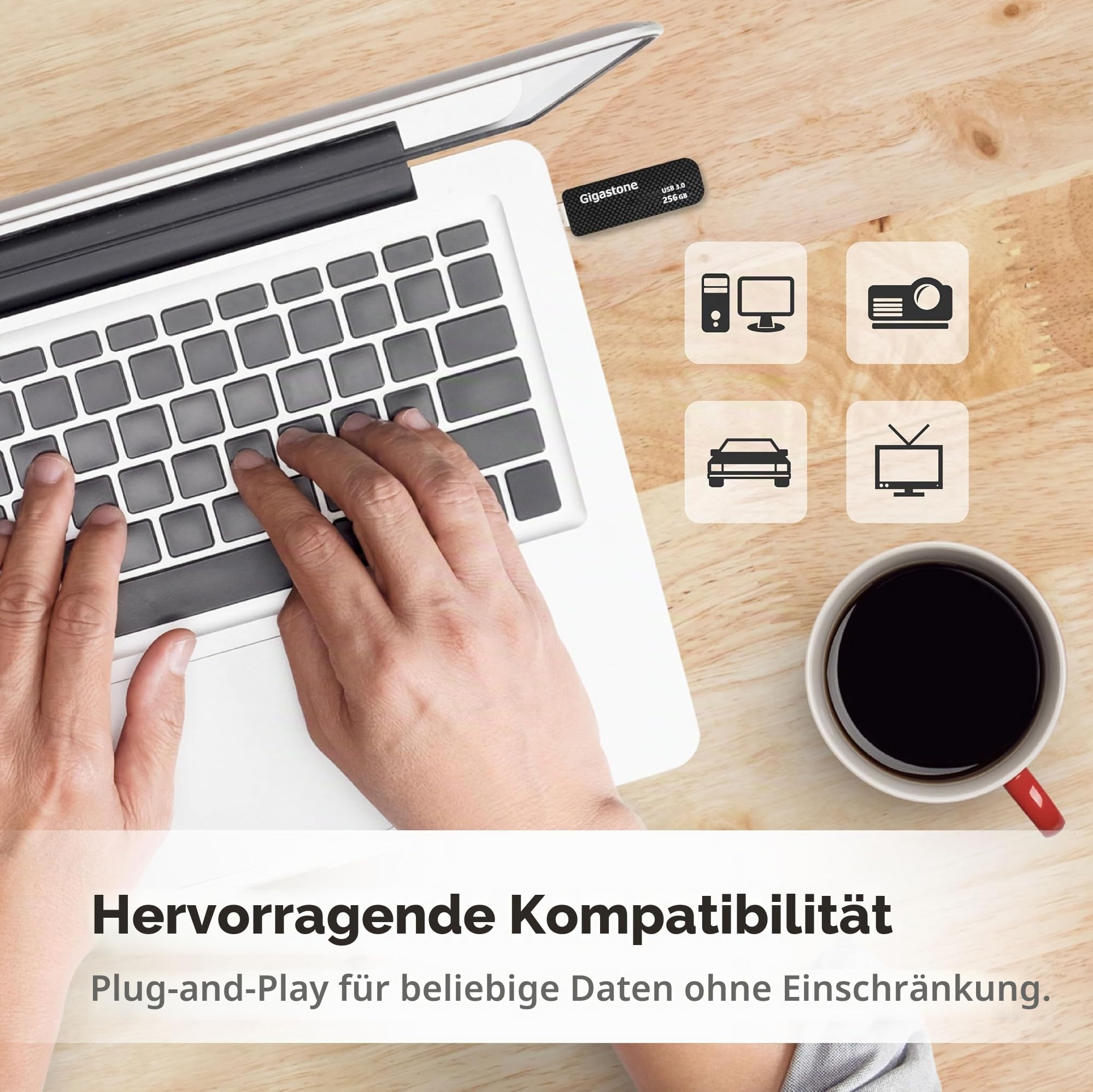GIGASTONE 256GB Flash-Laufwerk, Z30 USB 3.2 Gen 1, 100MB/s UltraSchnell, Schlüsselring-Öse, Push-Pull, Daten­speicherung, Backup für PC/Mac/TV/Auto, USB 2.0/3.0/3.1 Kompatibel